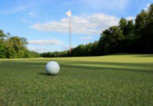 Explore local area golf courses